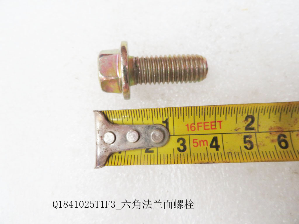 Q1841025T1F3_Hexagonal flange surface bolt
