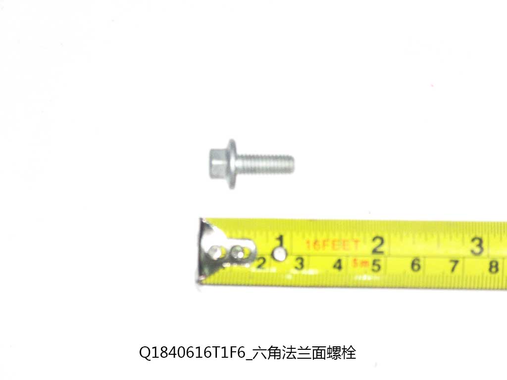 Q1840616T1F6_Hexagonal flange bolts