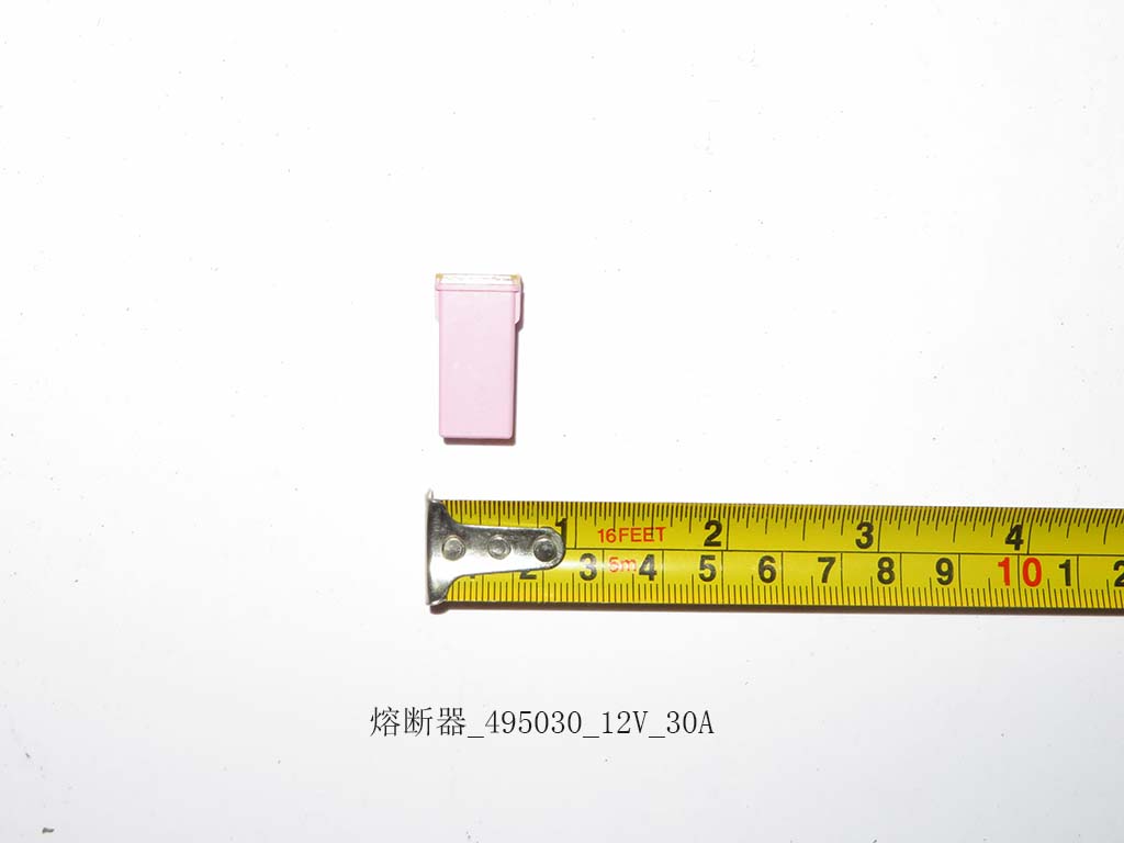 Fuse_495030_12V_30A