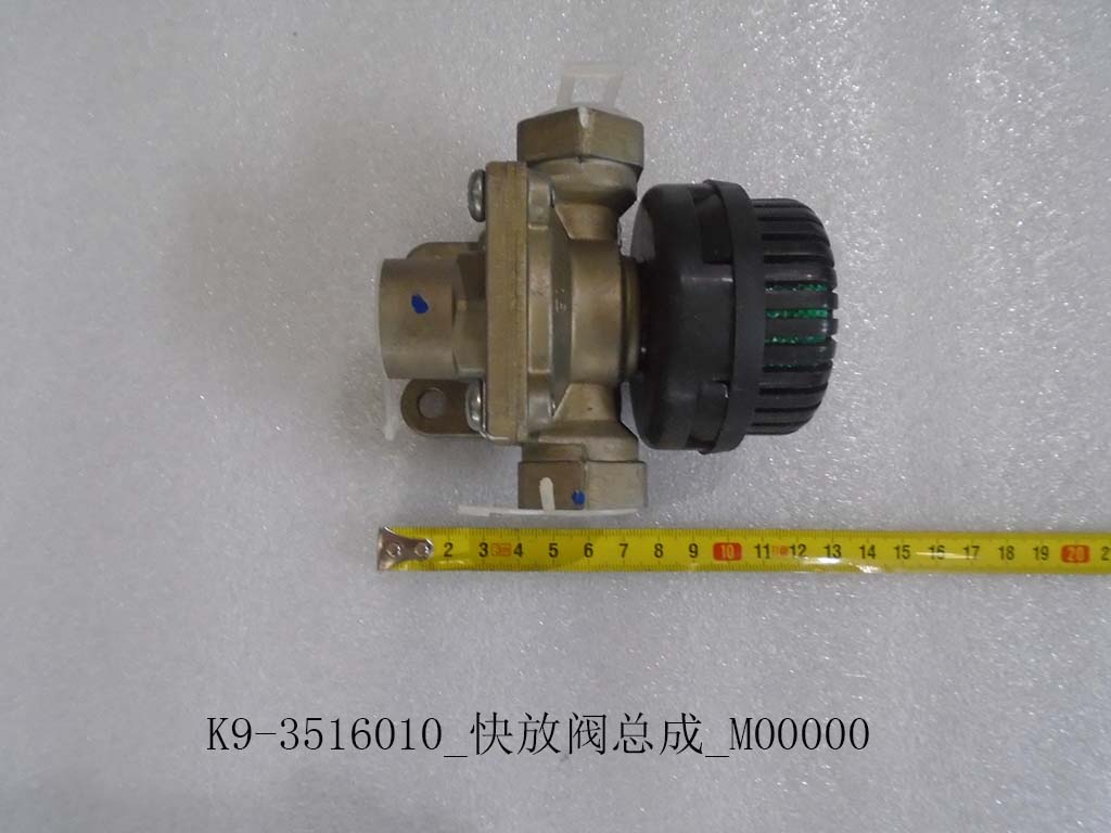 K9-3516010_Quick discharge valve assembly_M00000-1