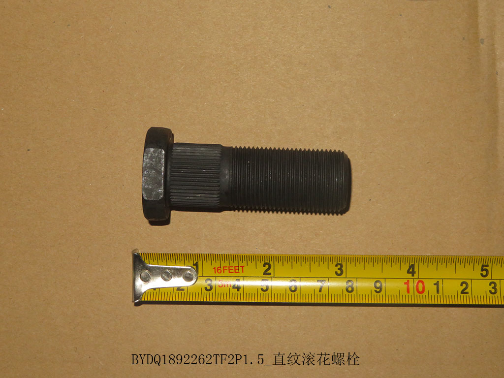 BYDQ1892262TF2P1.5_Straight knurled bolts