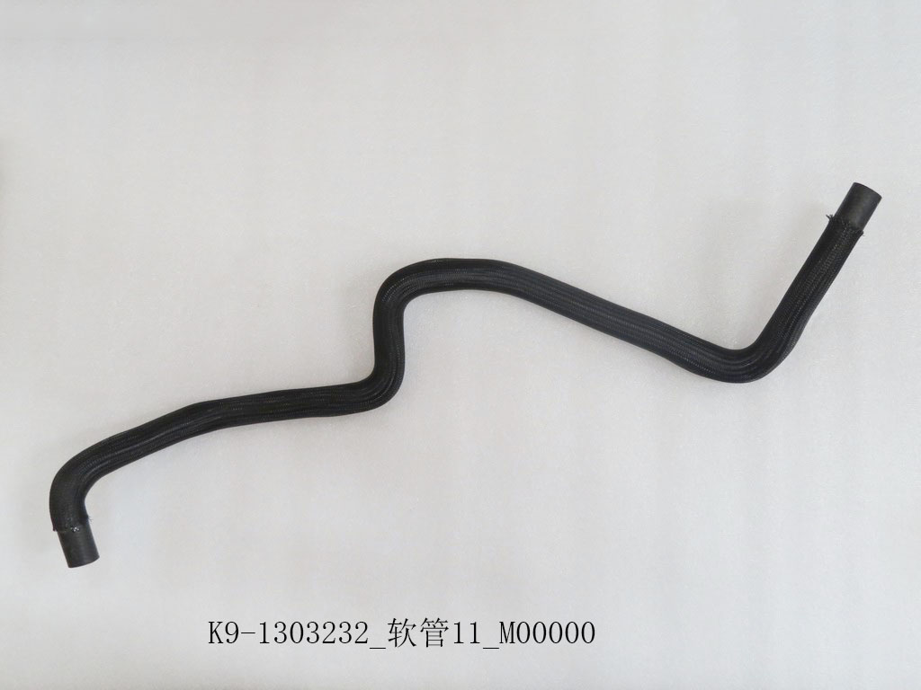 K9-1303232_Host 11_M00000