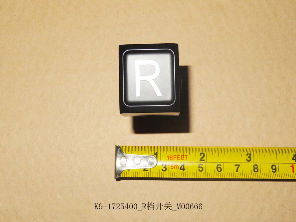 K9-1725400_R-speed switch_M00666