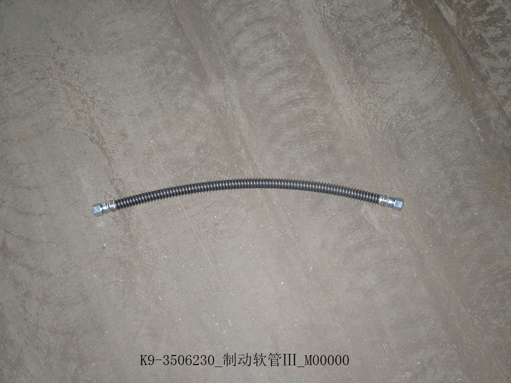 K9-3506230_Brain hose Ⅲ_M00000