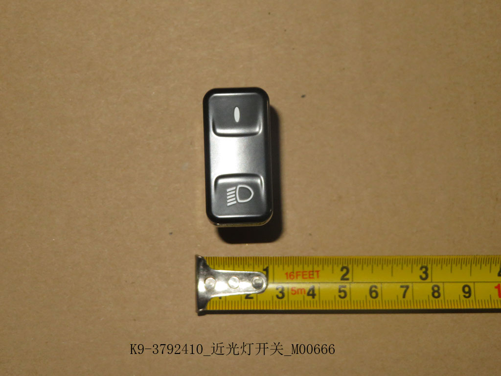 K9-3792410_Low beam switch_M00666