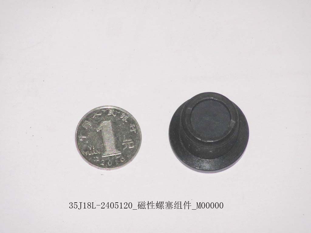 35J18L-2405120_Magnetic screw plug assembly_M00000