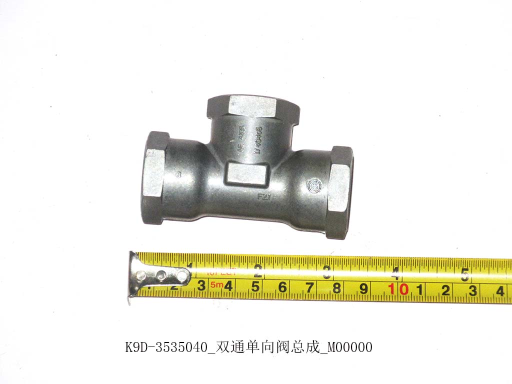 K9D-3535040_Dual-way check valve assembly_M00000