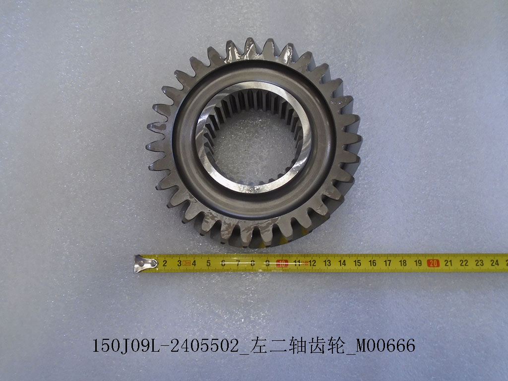 150J09L-2405502_Left two-axis gear_M00666