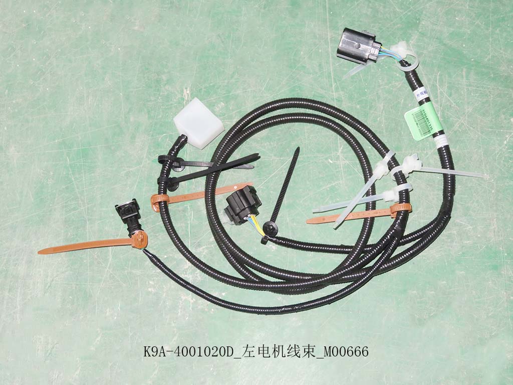 K9A-4001020D_Left motor wiring harness_M00666