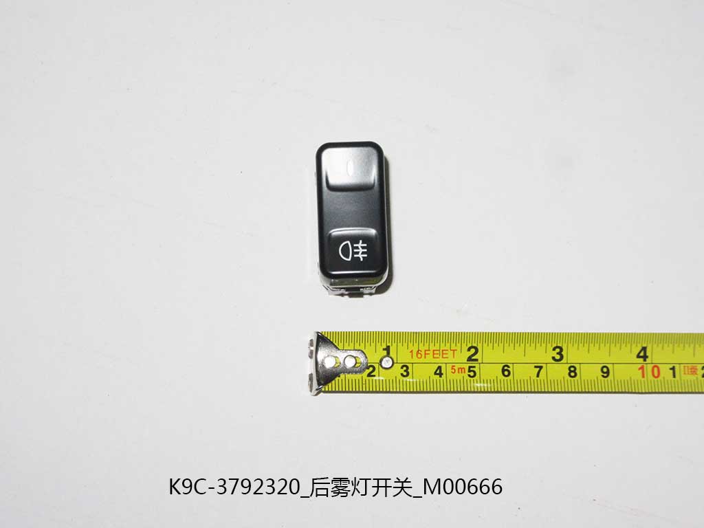 K9C-3792320_Rear Fog Light Switch_M00666