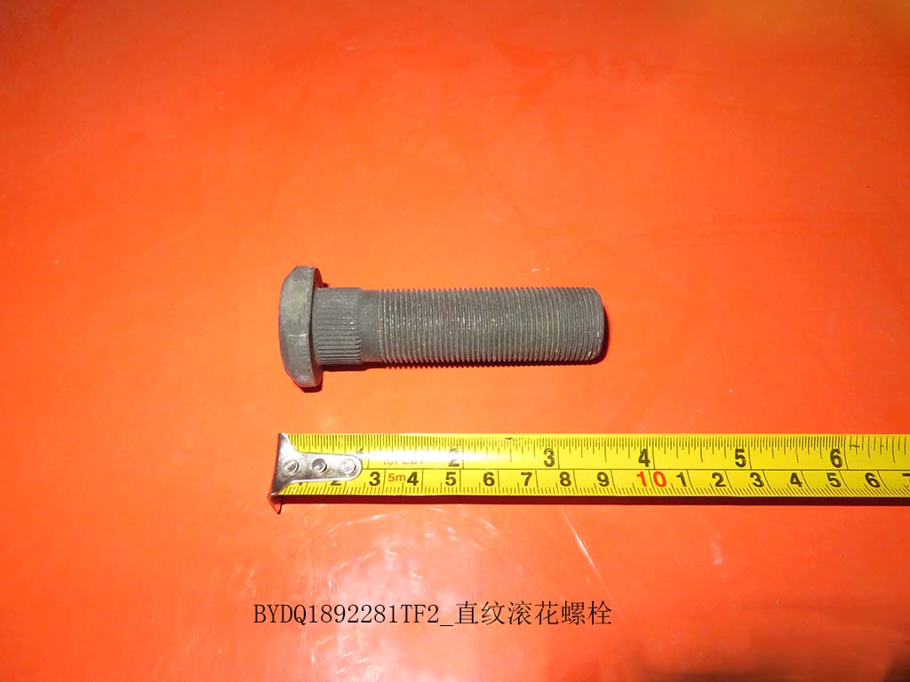 BYDQ1892281TF2_Straight knurled bolts
