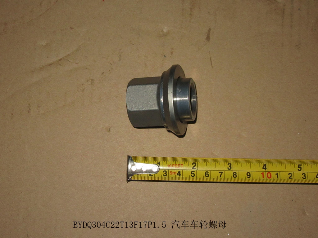 BYDQ304C22T13F17P1.5_Auto wheel nut