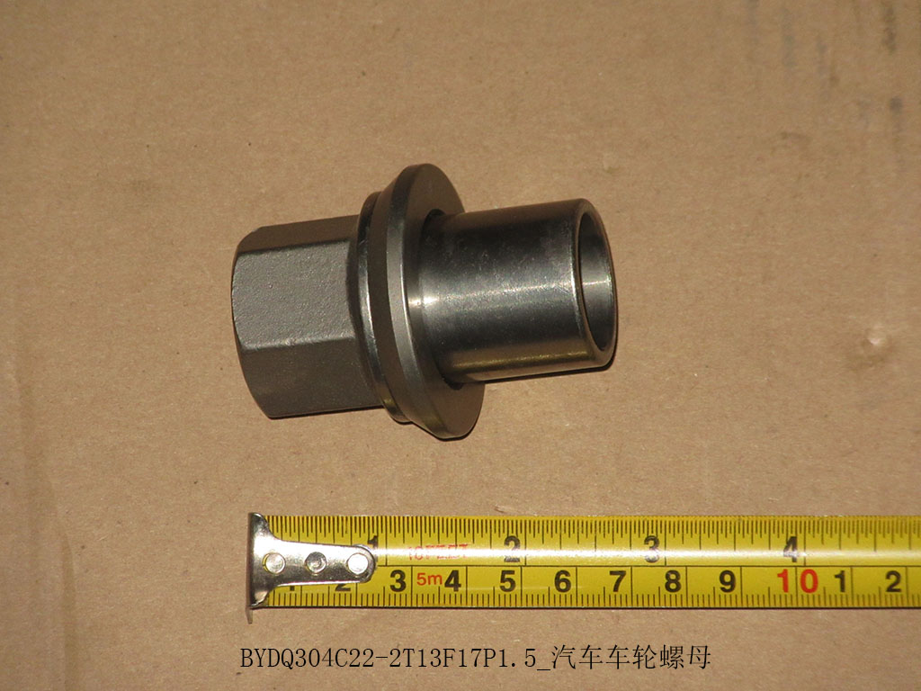 BYDQ304C22-2T13F17P1.5_Auto wheel nut