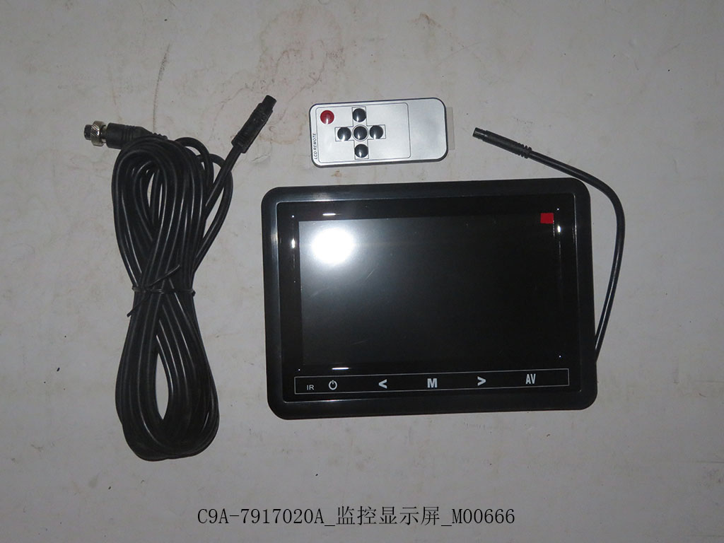 C9A-7917020A_Monitoring Display_M00666