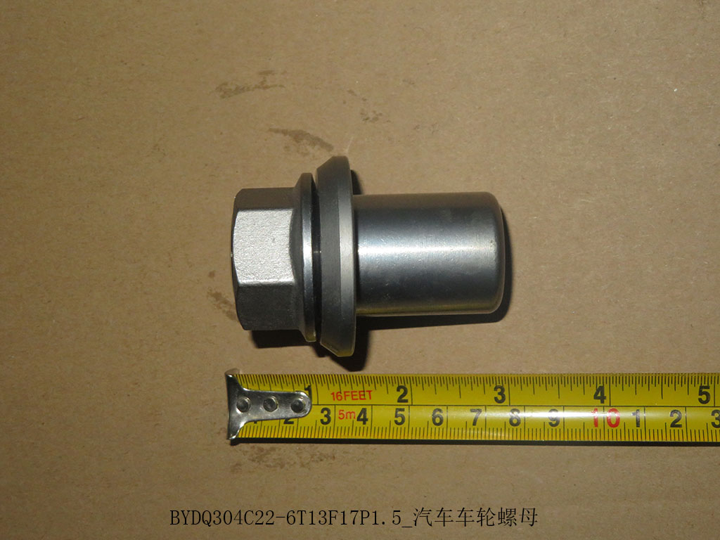 BYDQ304C22-6T13F17P1.5_Auto wheel nut