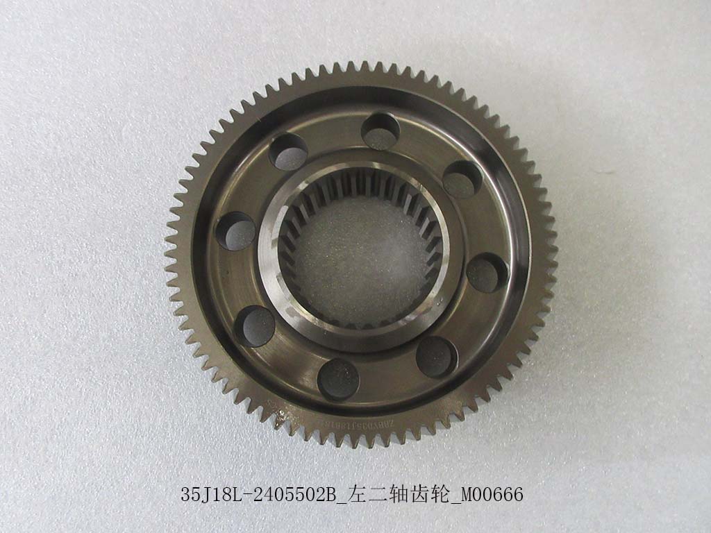 35J18L-2405502B_Left two-axis gear_M00666