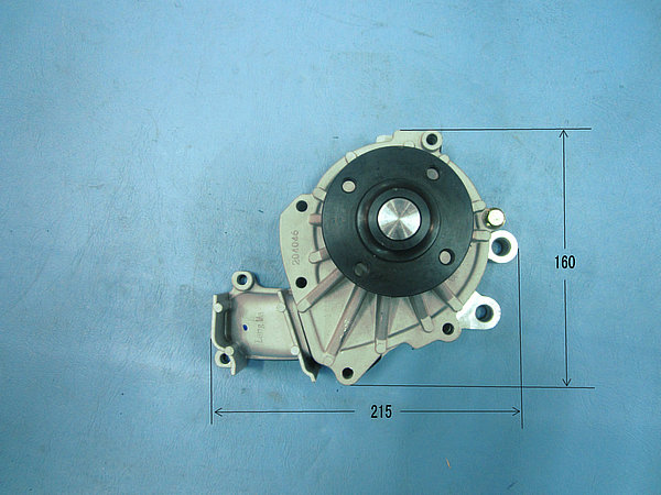 Water pump assembly