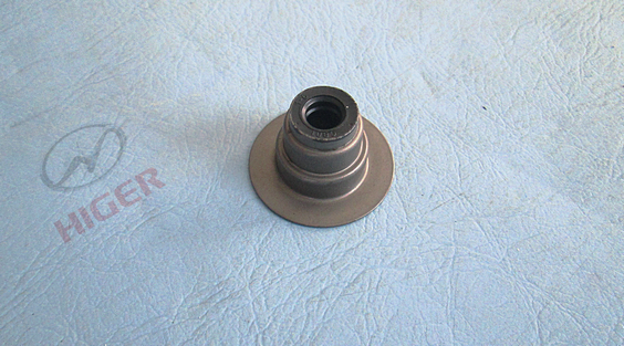 Air stem oil seal