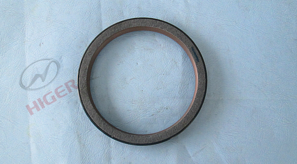 Crankshaft rear oil seal