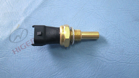 Capteur de température de l'eau