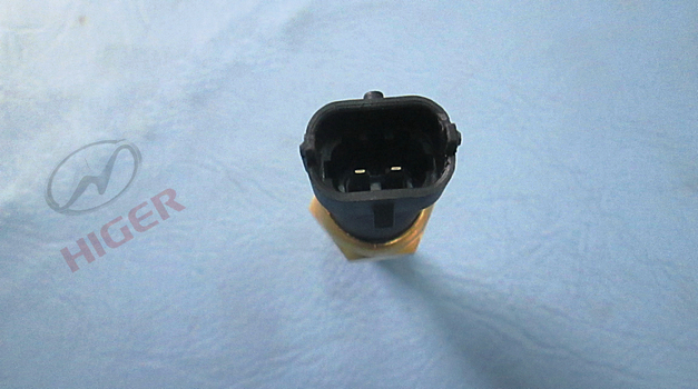 Capteur de température de l'eau-1