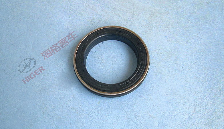Crankshaft front oil seal