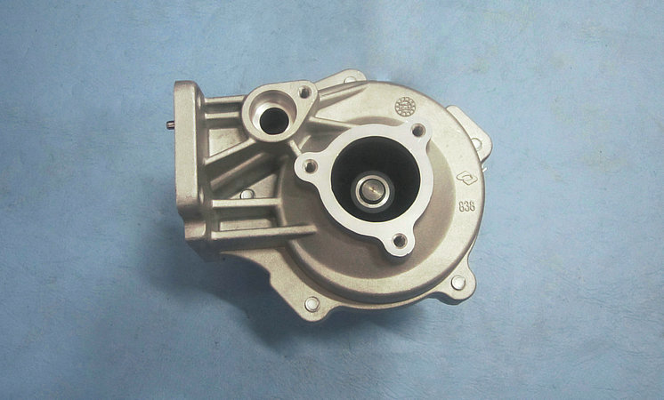 Water pump assembly