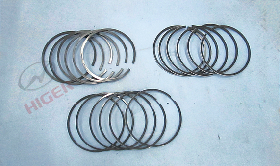 Piston ring assembly