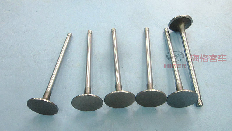 Air intake valve