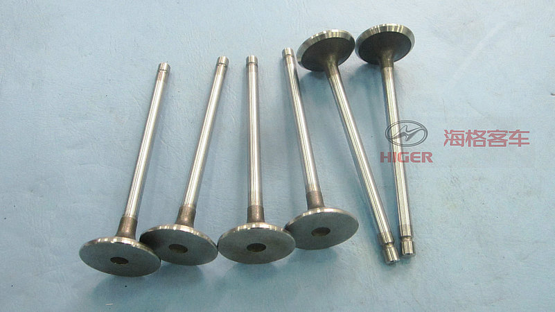 Exhaust valve