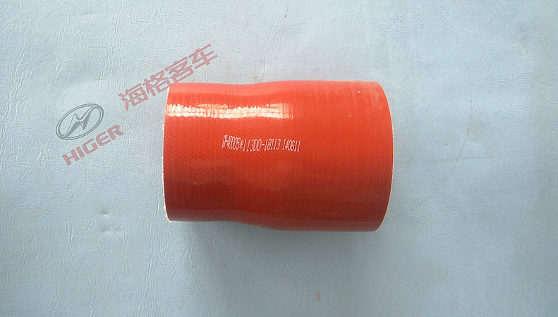 Hose (89102-15)