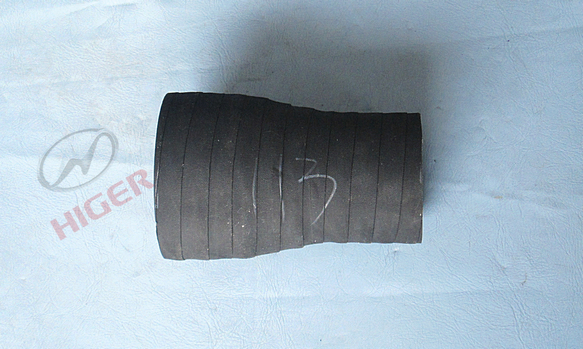 Hose (76102-15)