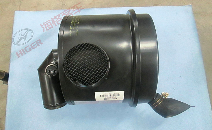 Air filter assembly (HG-600 Flega)