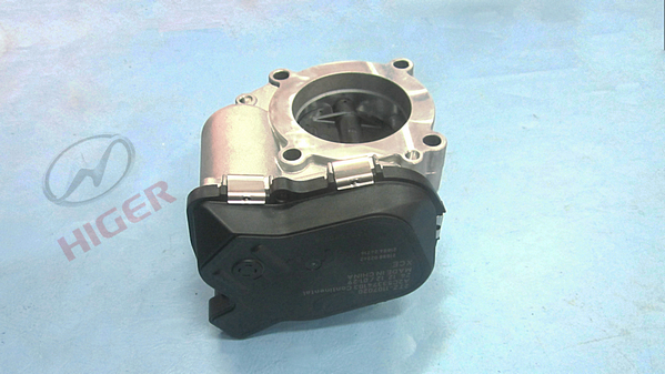 Throttle body assembly-1