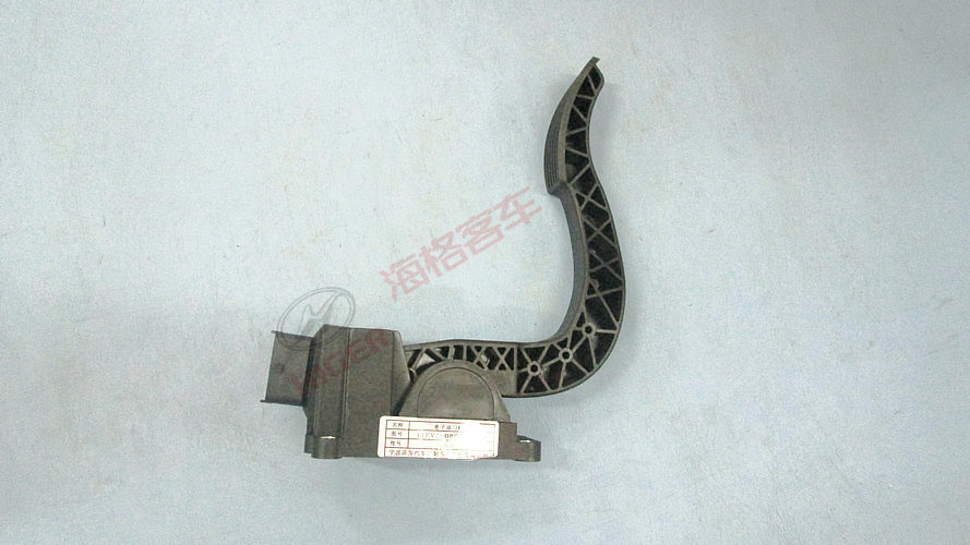 Accelerator pedal assembly (493)
