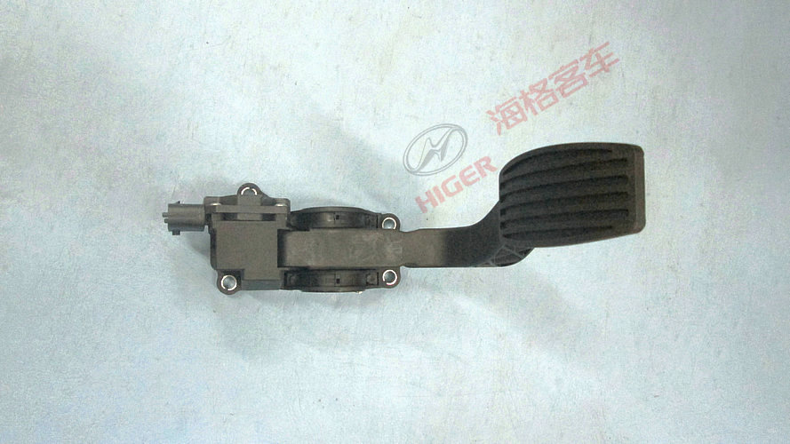Accelerator pedal assembly (493)-1