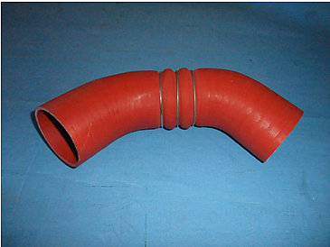 Hose (engine air intake)