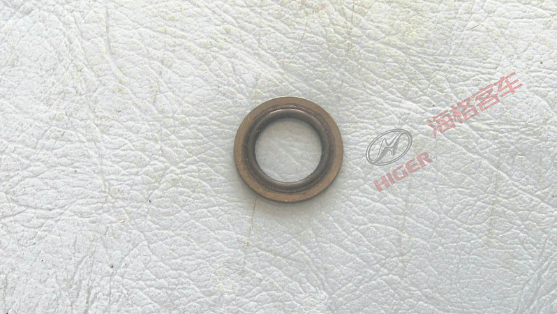 Sealing gasket