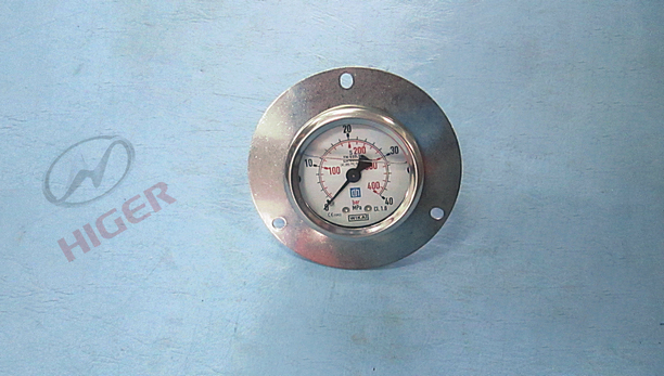 耐震压力表(VIKA轴向)