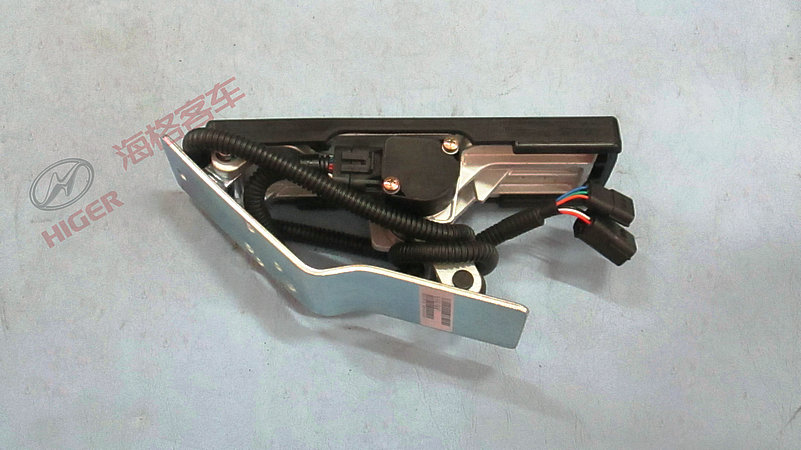 Accelerator pedal assembly (DD45S3ZG)-1
