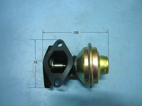 EGR valve