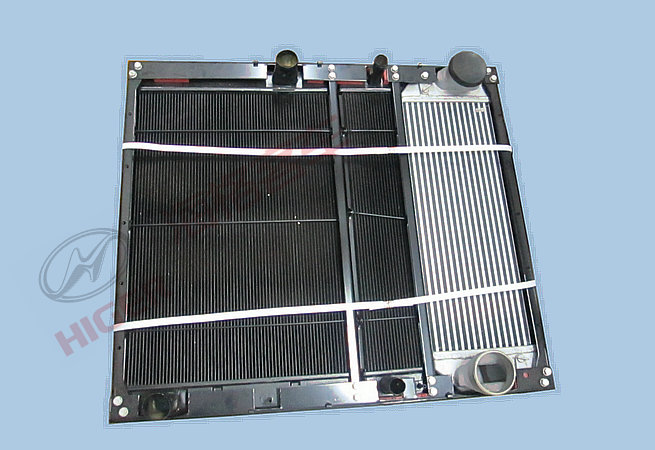 Radiator assembly