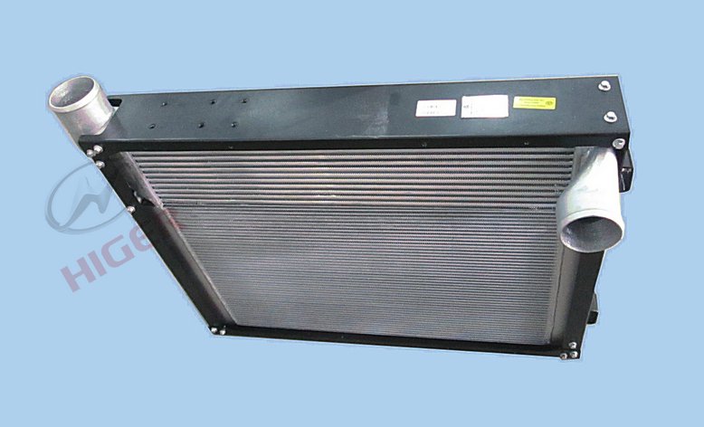 Radiator assembly (integrated cooling module)