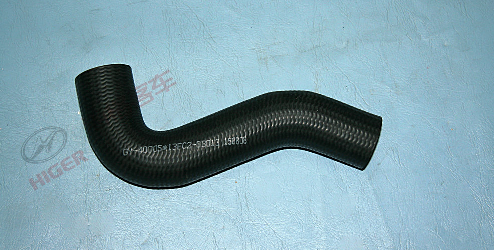 Hose (radiator water outlet hose)