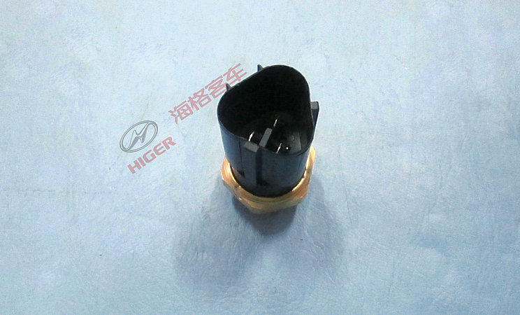 Switch (temperature control switch)