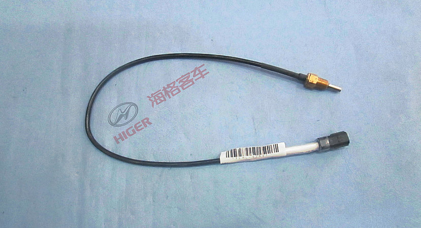 Temperature sensor