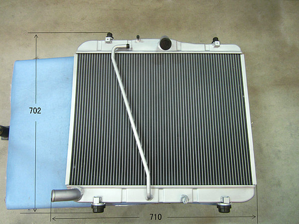 Radiator assembly
