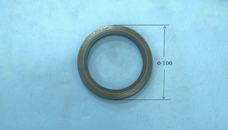 Rear wheel internal oil seal