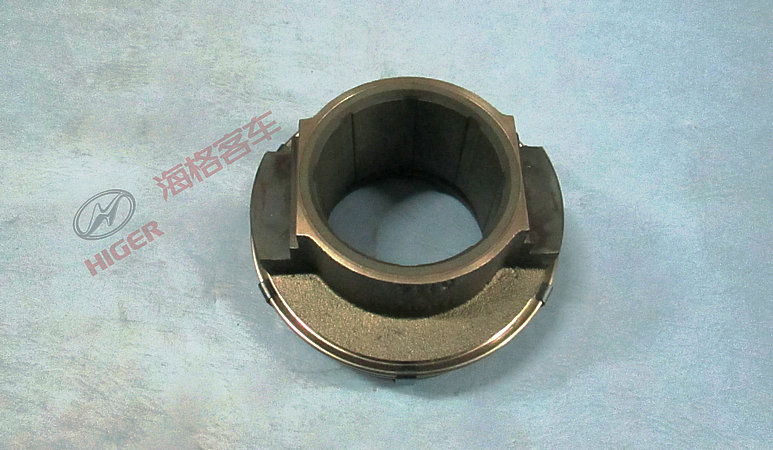Separated Bearings (SACHS)