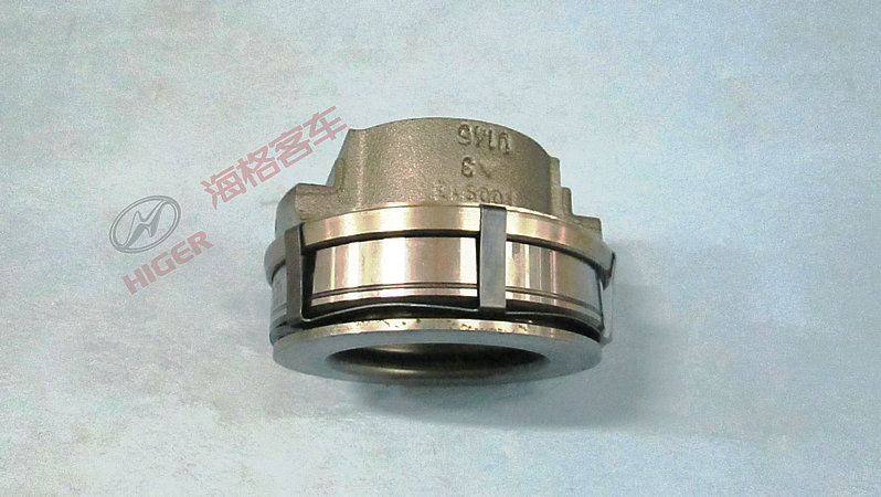 Разделенные медведи (SACHS)-1